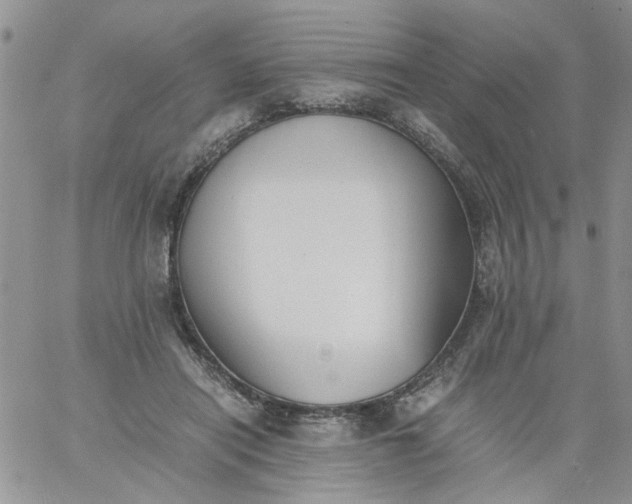 X0000060800454200511241914