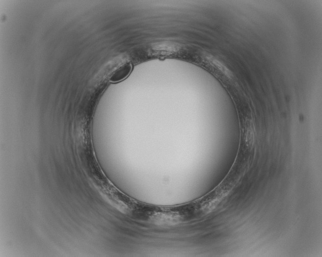 X0000060800455200511241914