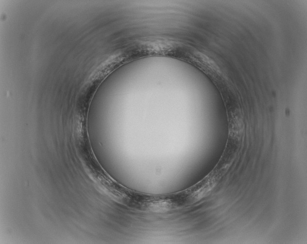 X0000060800456200511241914