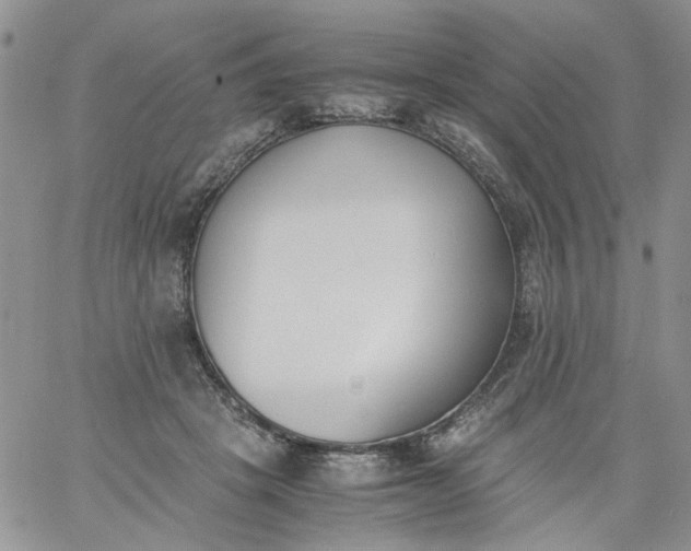 X0000060800457200511241914