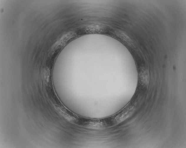 X0000060800458200511241914