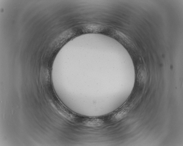 X0000060800459200511241914