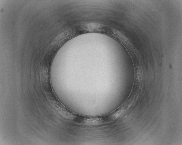 X0000060800461200511241914