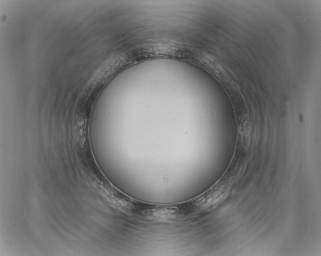 X0000060800462200511241914