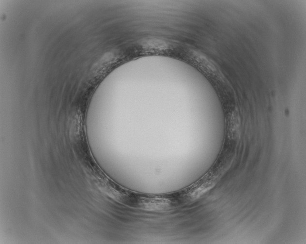 X0000060800463200511241914