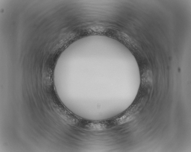 X0000060800464200511241915