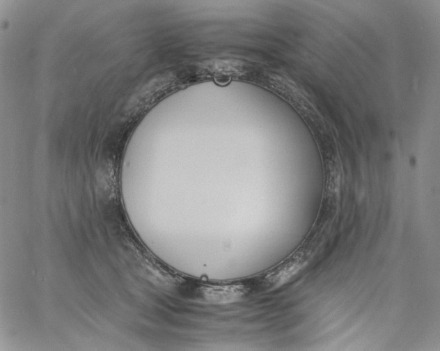 X0000060800465200511241915