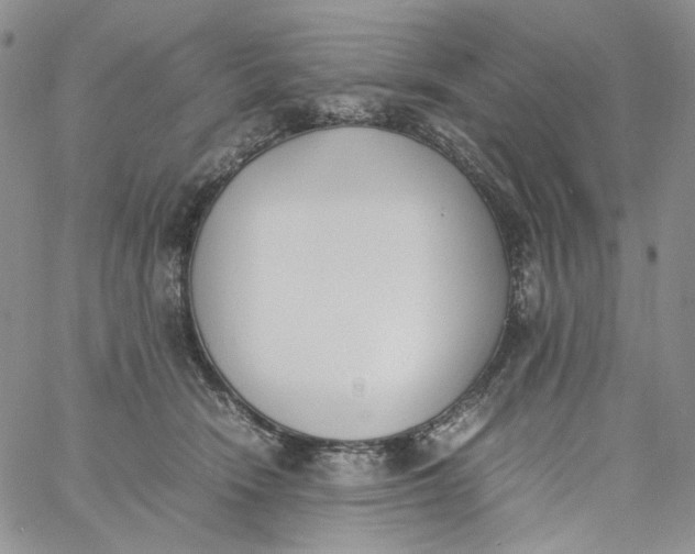 X0000060800466200511241915