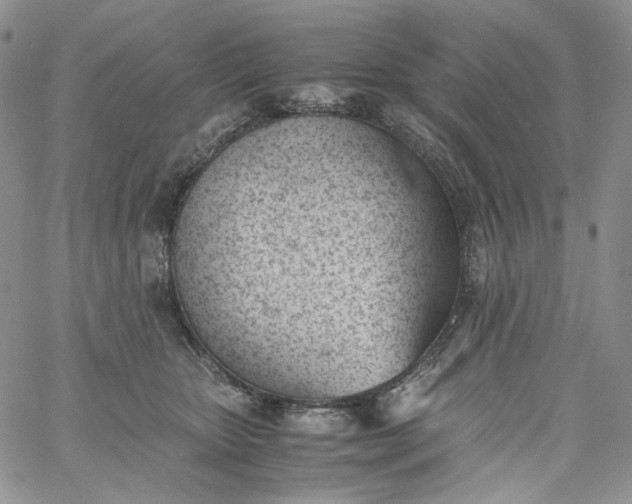 X0000060800467200511241915