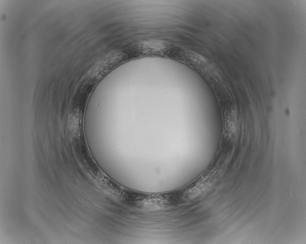 X0000060800468200511241915