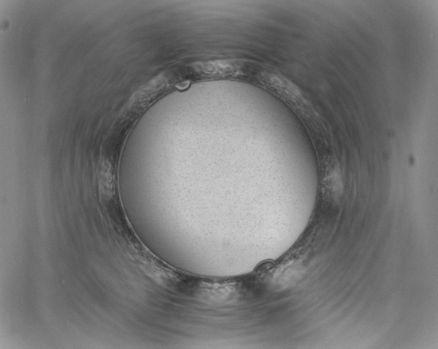 X0000060800469200511241915