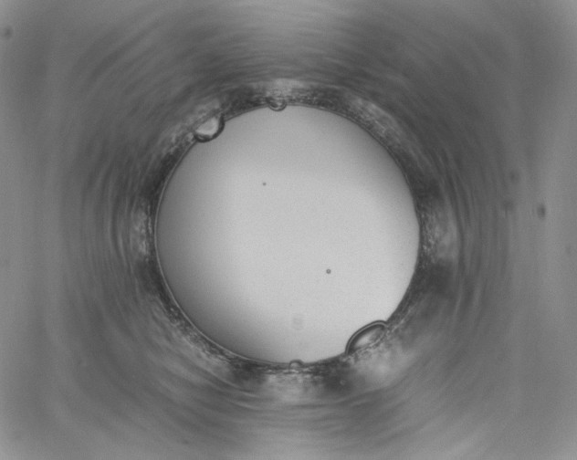 X0000060800470200511241915