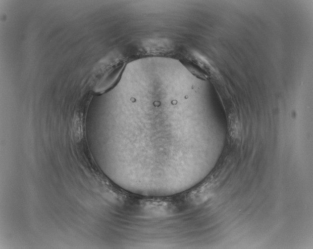 X0000060800471200511241915