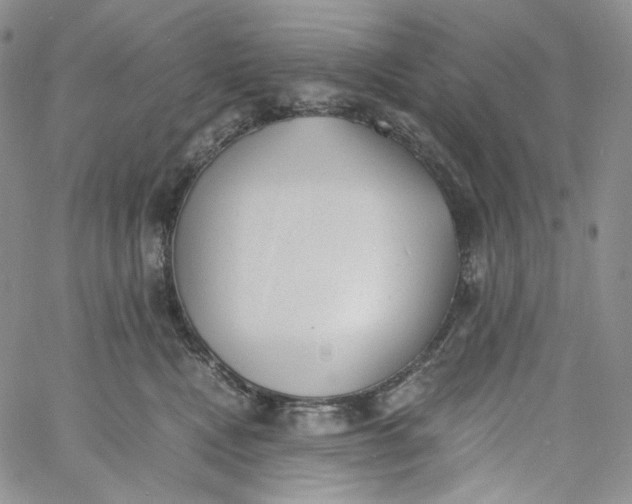 X0000060800472200511241915