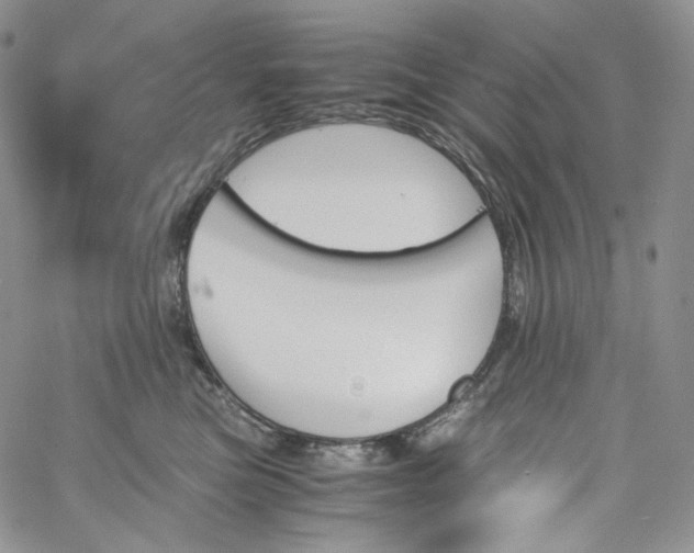 X0000060800473200511241915