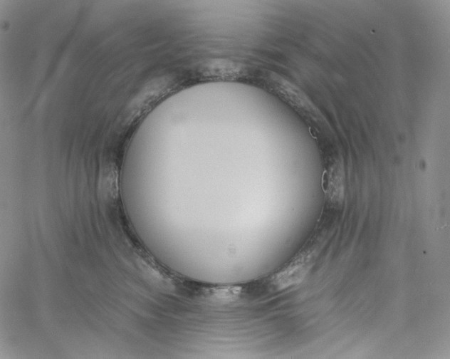 X0000060800474200511241915