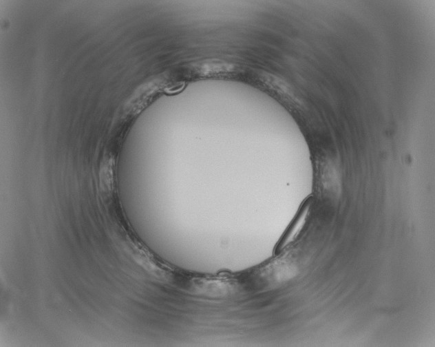 X0000060800475200511241915