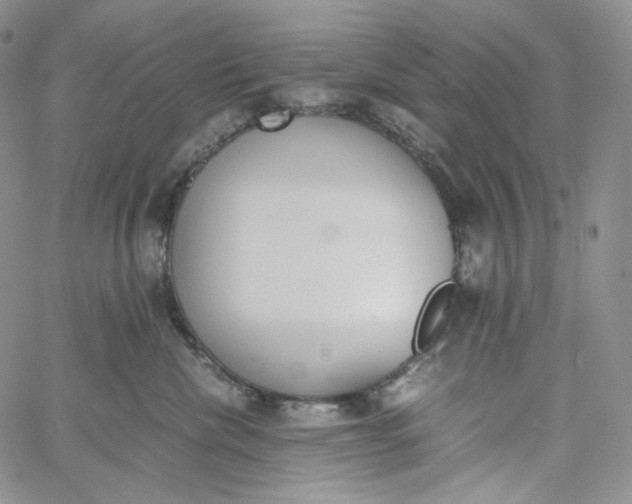 X0000060800476200511241915