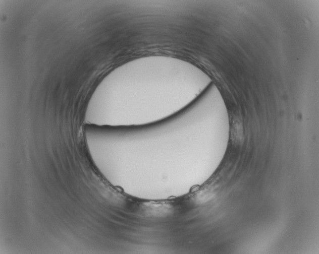 X0000060800477200511241915