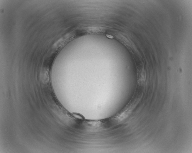 X0000060800478200511241915