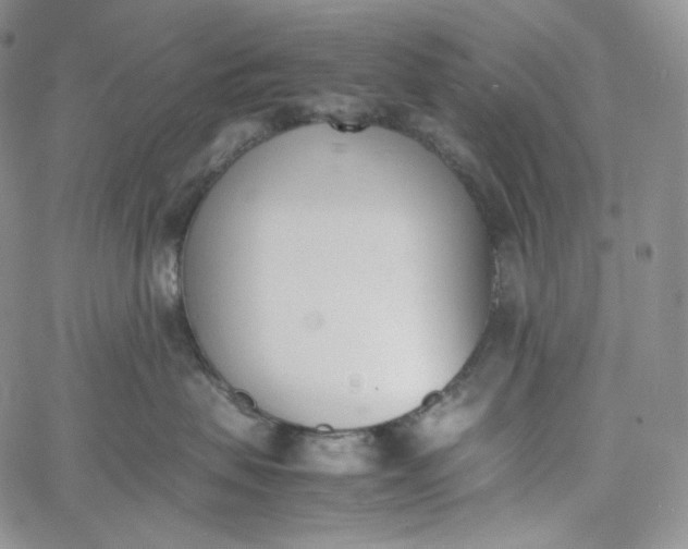 X0000060800479200511241915