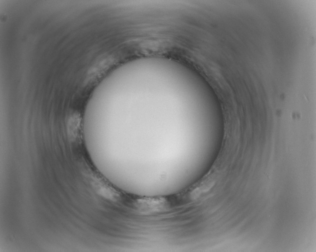 X0000060800480200511241915