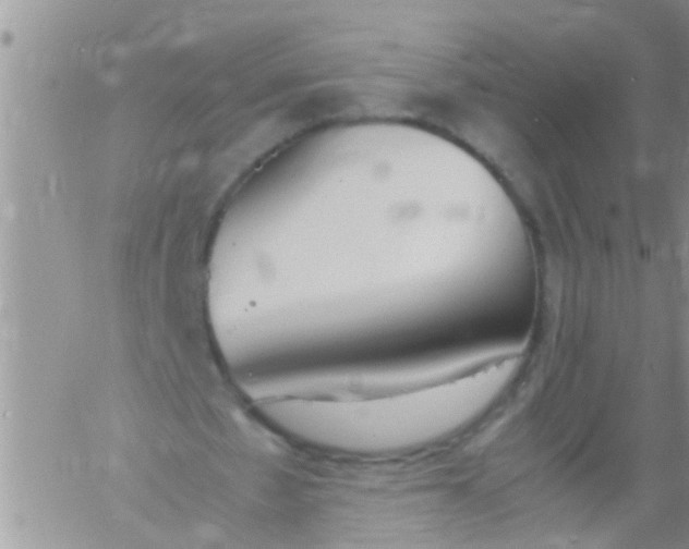 X0000060800481200511241914