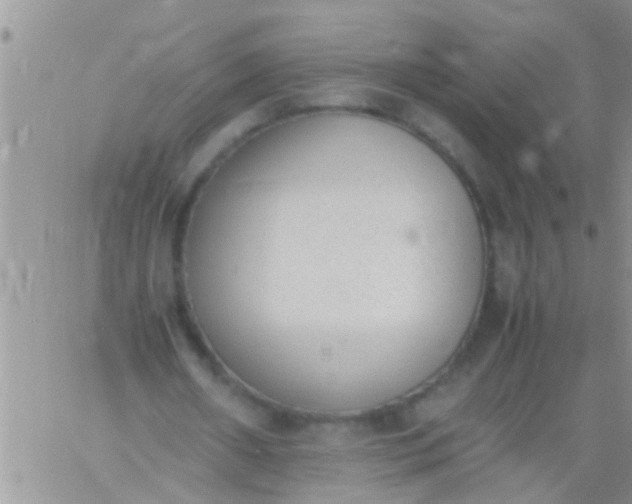 X0000060800482200511241914