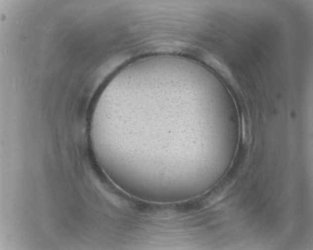 X0000060800483200511241914