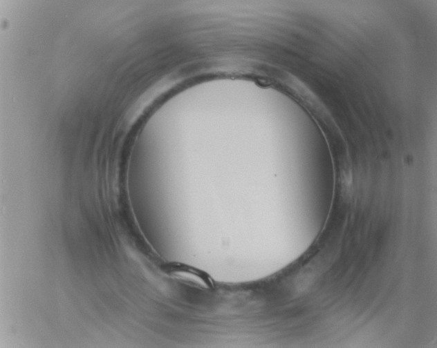 X0000060800484200511241914