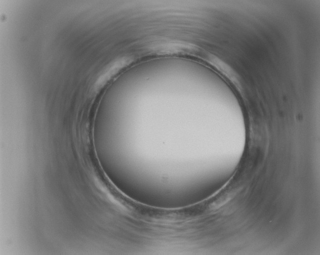 X0000060800485200511241914