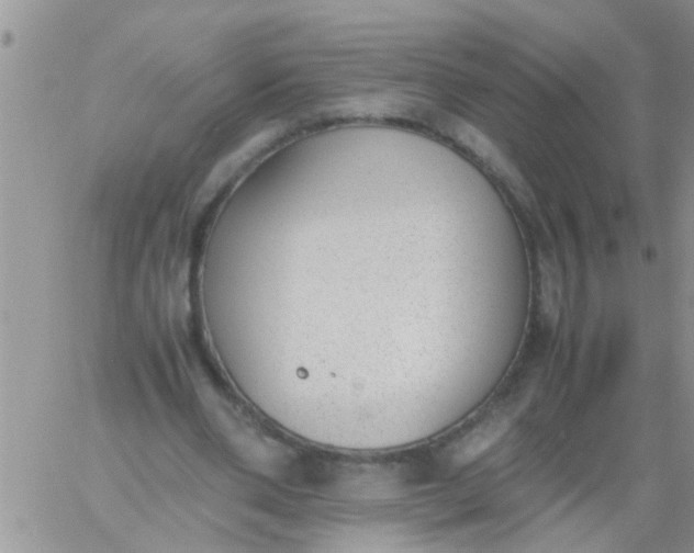 X0000060800486200511241914