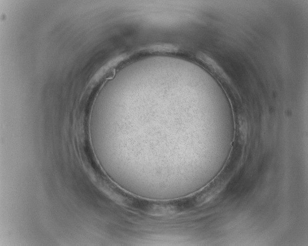 X0000060800487200511241914