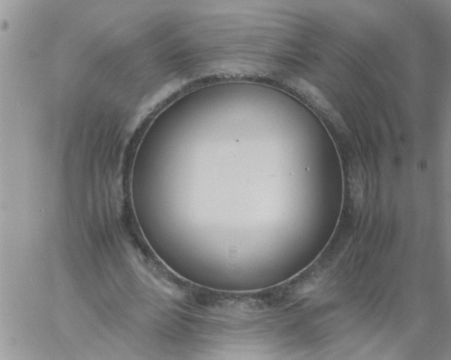 X0000060800488200511241914