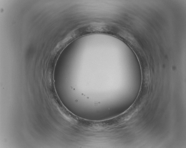 X0000060800489200511241914