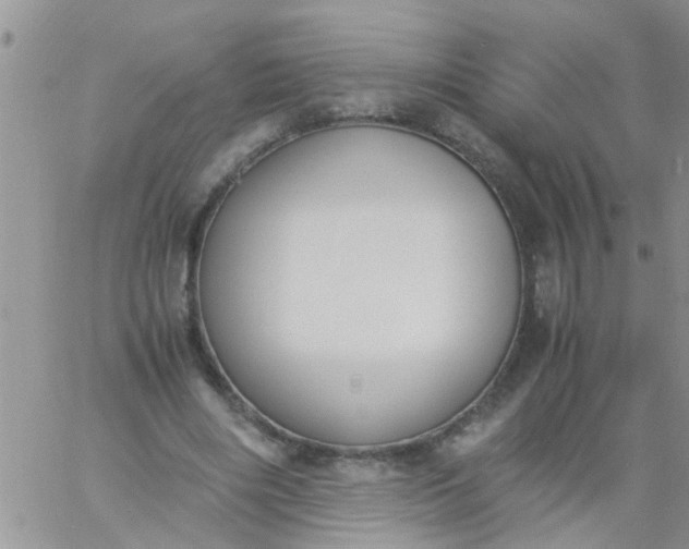 X0000060800490200511241914