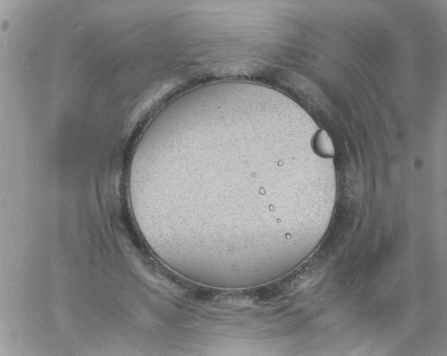 X0000060800491200511241914