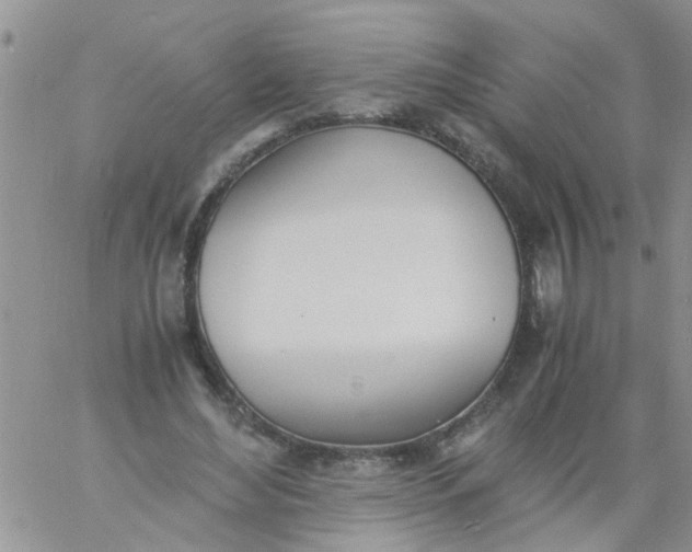 X0000060800492200511241914