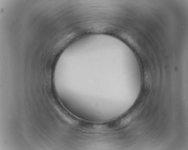 X0000060800493200511241914