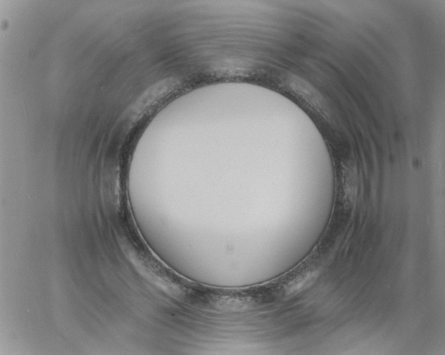 X0000060800494200511241914