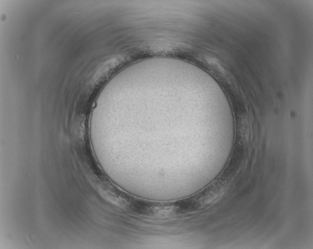 X0000060800495200511241914