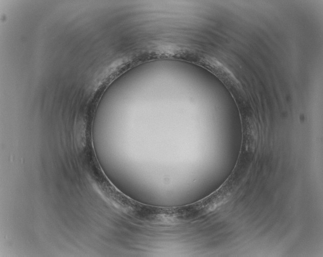 X0000060800496200511241914