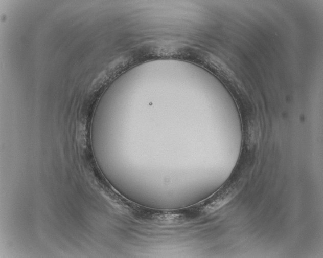 X0000060800497200511241914