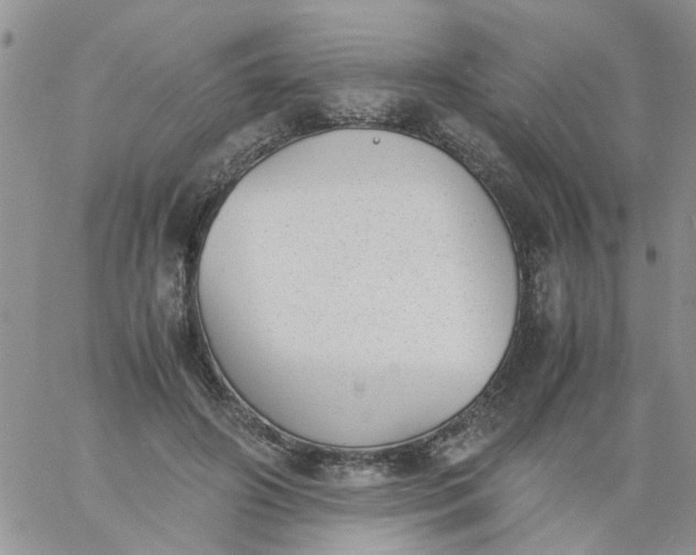 X0000060800498200511241914