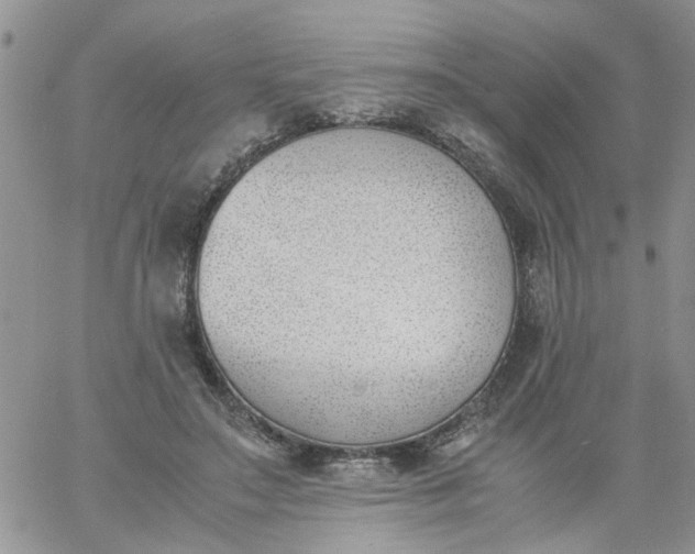 X0000060800499200511241914