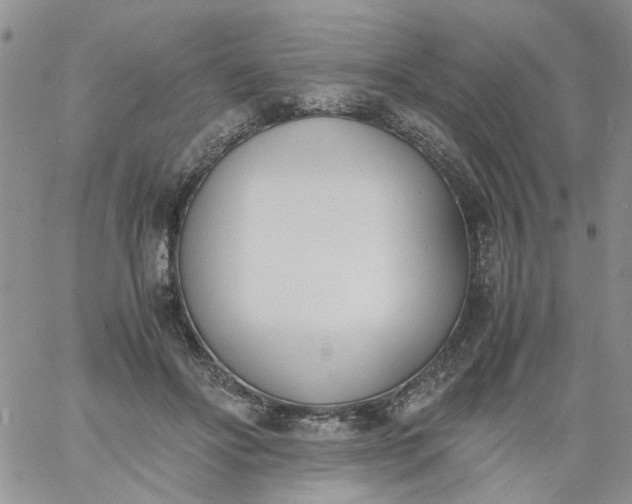 X0000060800502200511241914