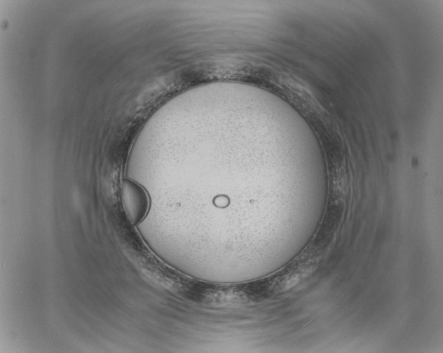 X0000060800503200511241914