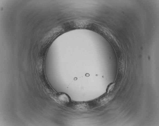 X0000060800505200511241914