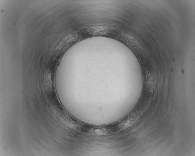 X0000060800506200511241914