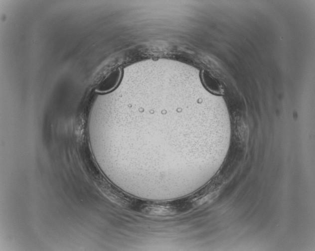 X0000060800507200511241914